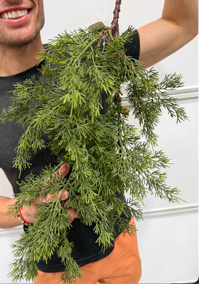 34"L Cedar/Cone Buds Spray