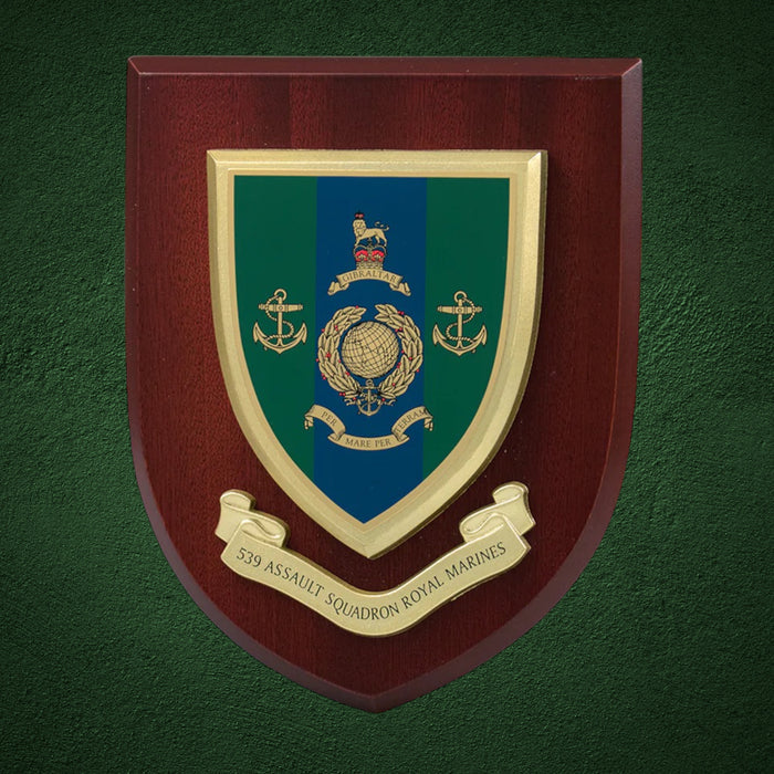 539 Assault Squadron Plaque