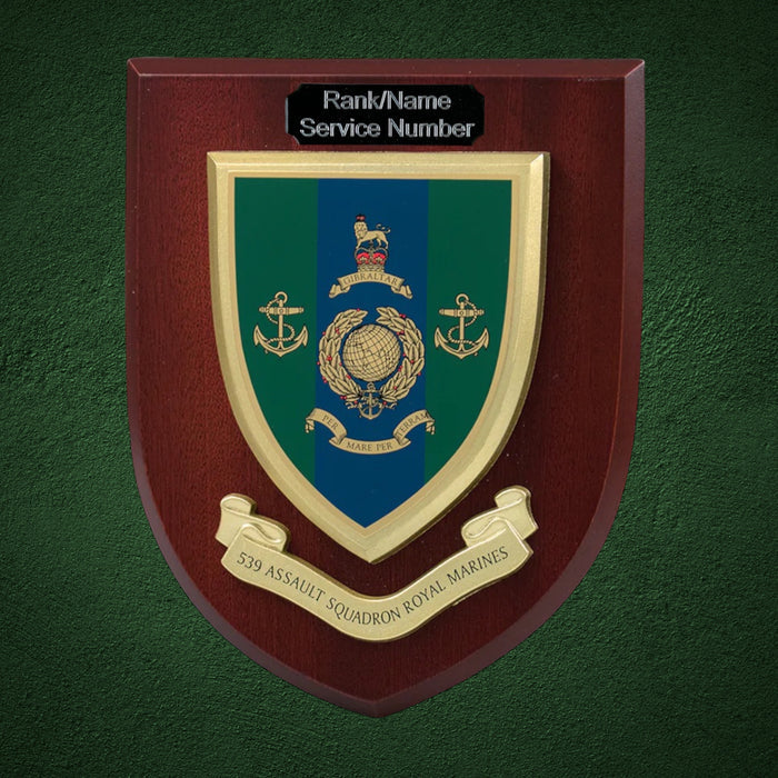 539 Assault Squadron Plaque