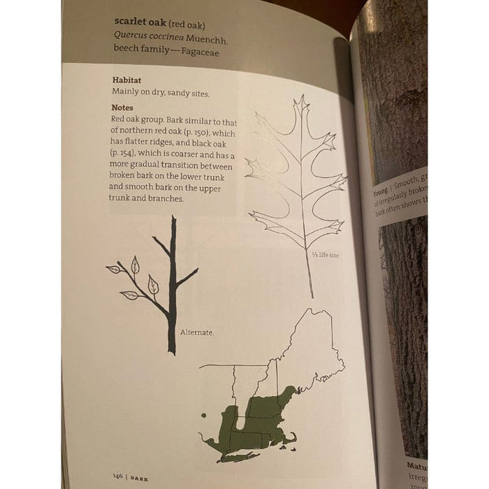 Bark: A Field Guide to Trees of the Northeast