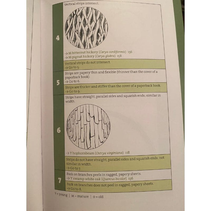 Bark: A Field Guide to Trees of the Northeast
