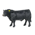 Big Country Angus Bull