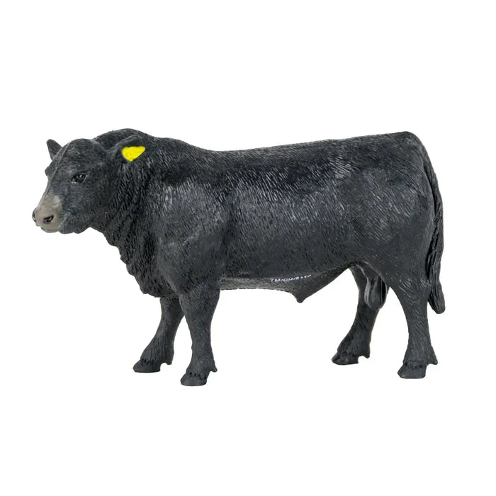 Big Country Angus Bull