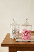 Bird Glass Jar