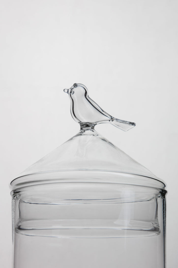 Bird Glass Jar