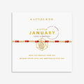 Birthstone Bracelet