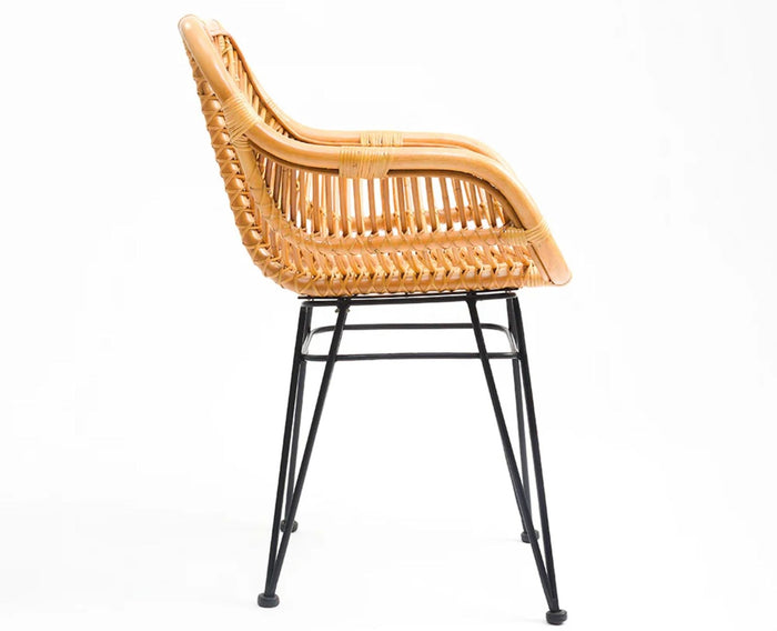 Breeze Rattan Accent Chair – Modern Upholstered Dining Chair for Home & Café Honey Tan , Black