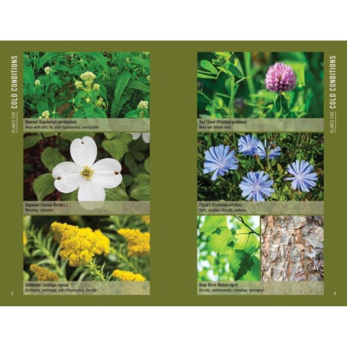 Bushcraft First Aid: A Field Guide to Wilderness Emergency Care