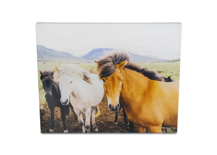 Customizable Tabletop Canvas