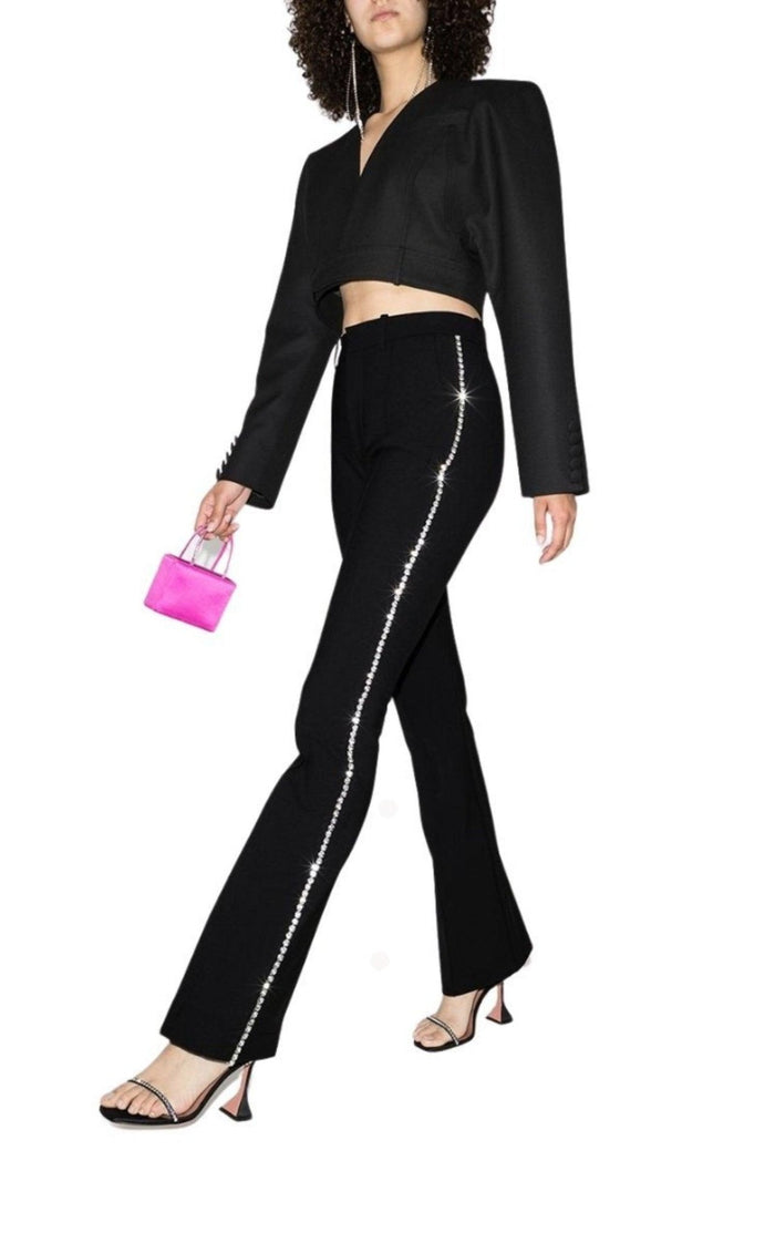 Area Fitted Jeweled Pants - Runway Catalog