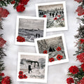 Jacqueline Hurley Christmas Card Pack - 12 Pack
