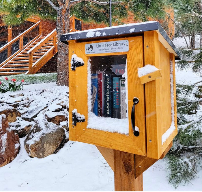 Mini Shed Kit Little Free Library