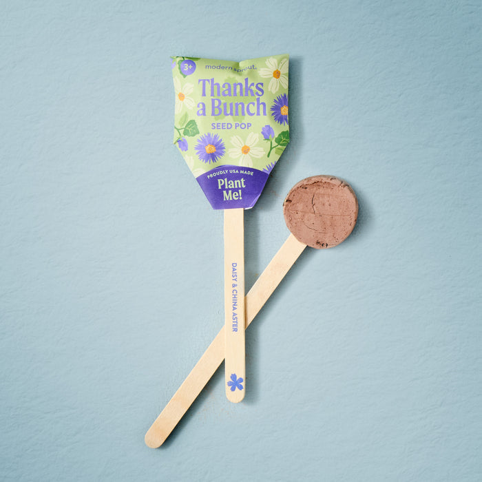 Modern Sprout Flower Seed Pop