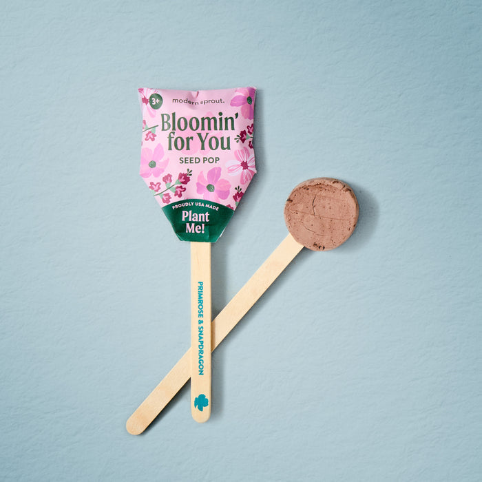 Modern Sprout Flower Seed Pop