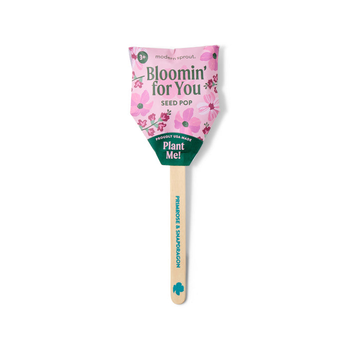 Modern Sprout Flower Seed Pop