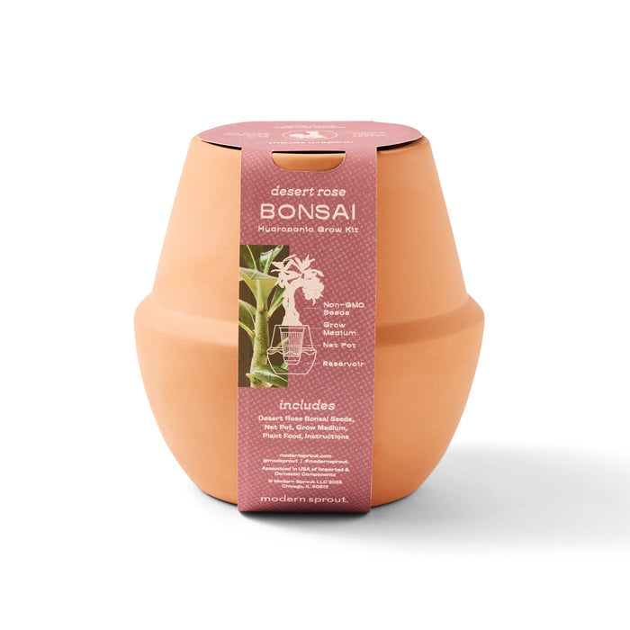 Modern Sprout® Modern Terracotta Grow Kit Bonsai