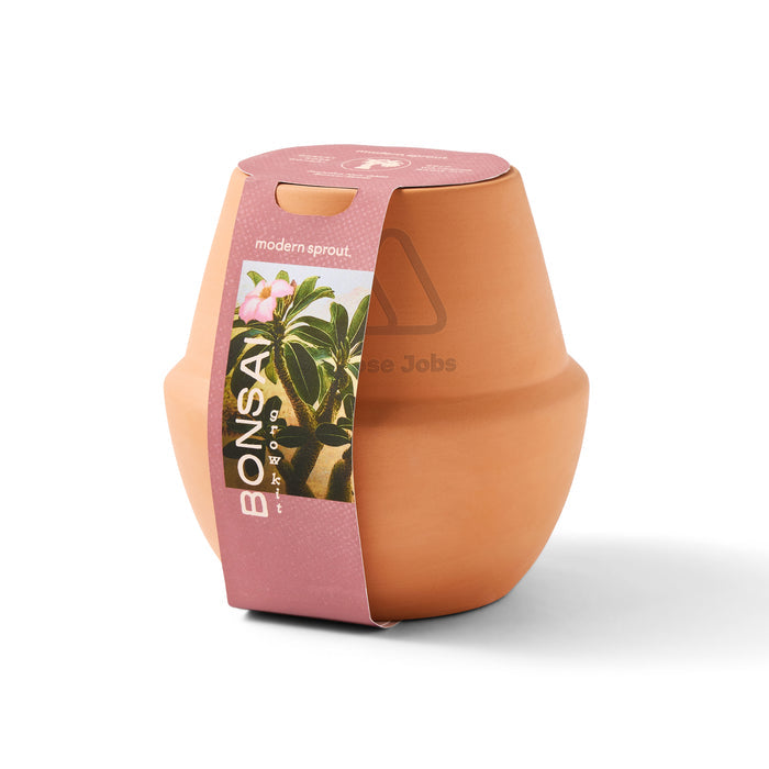 Modern Sprout® Modern Terracotta Grow Kit Bonsai
