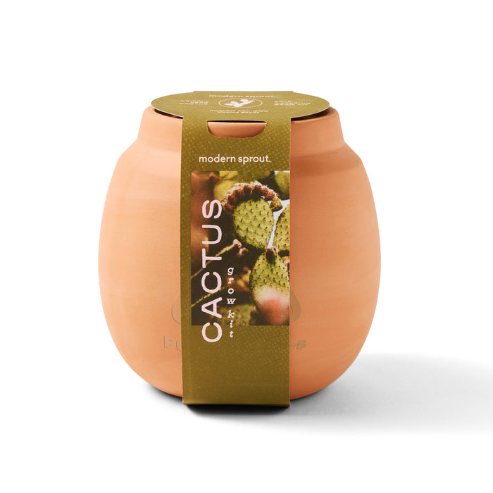 Modern Sprout Modern Terracotta Grow Kit Cactus