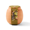 Modern Sprout Modern Terracotta Grow Kit Cactus