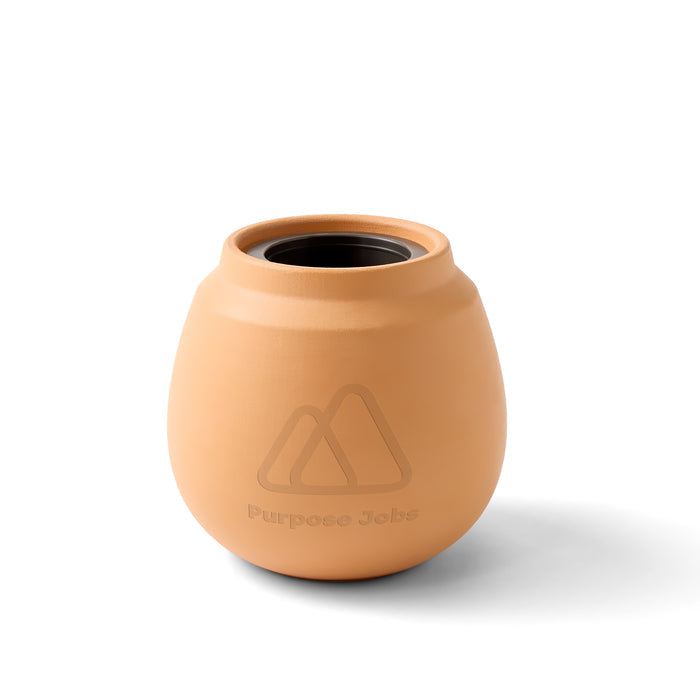 Modern Sprout Modern Terracotta Grow Kit Cactus