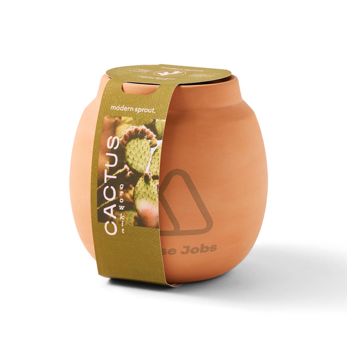 Modern Sprout Modern Terracotta Grow Kit Cactus