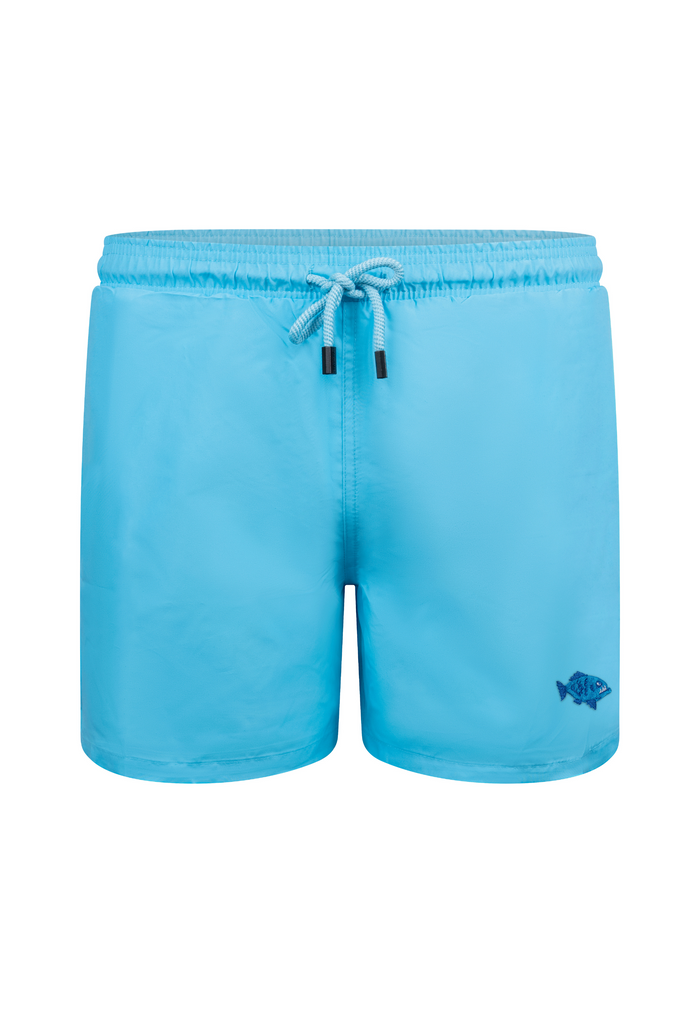 Piranha Plain Blue