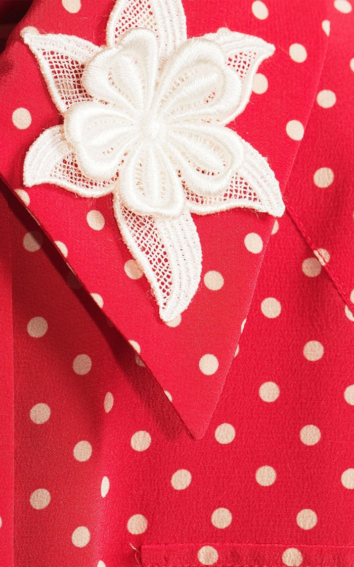 Alessandra Rich Polka Dot Print Silk Shirt Dress - Runway Catalog