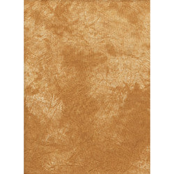 Promaster DYED BACKDROP 20'-ORANGE - 10x20' - Orange