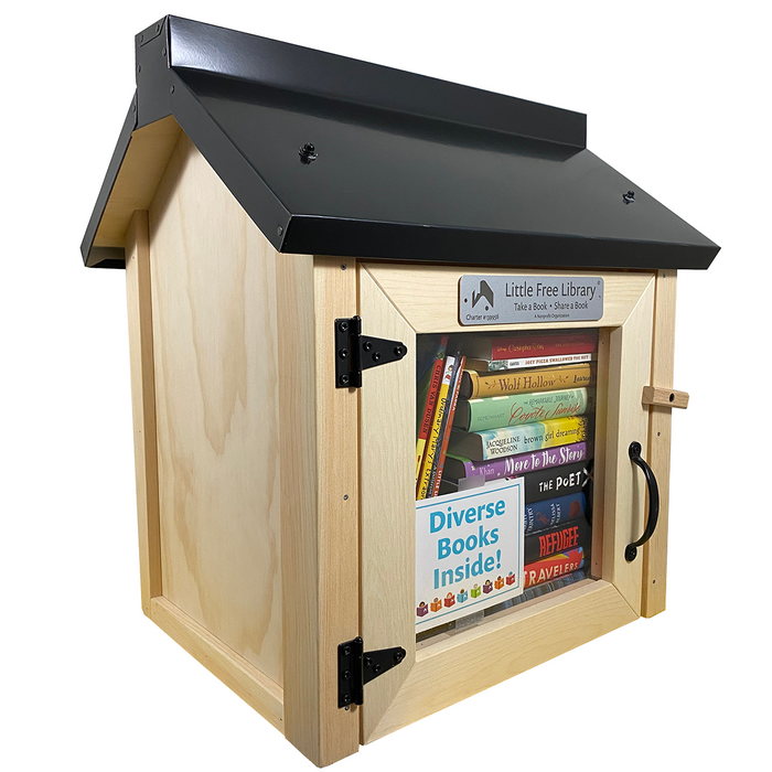 Read in Color Launch Pack