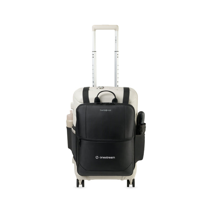 Samsonite Outline Pro Carry-On and Convertible Backpack Set