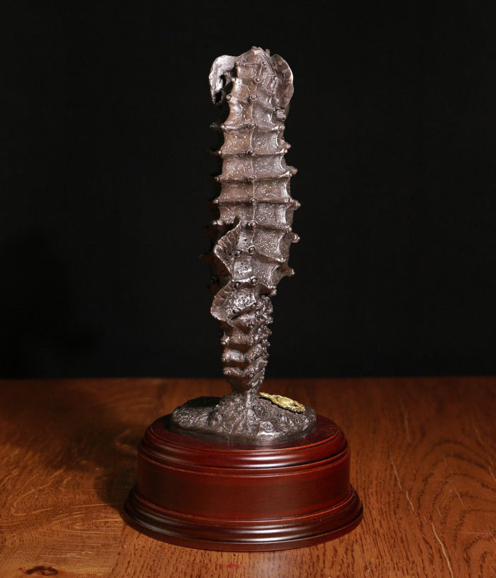 Seahorse, Cold Cast - Bronze F28