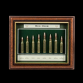 Sporting Gentry CS34 Red Deer Display
