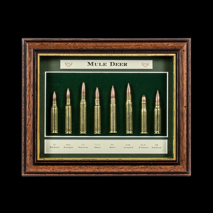 Sporting Gentry CS37 Mule Deer Display