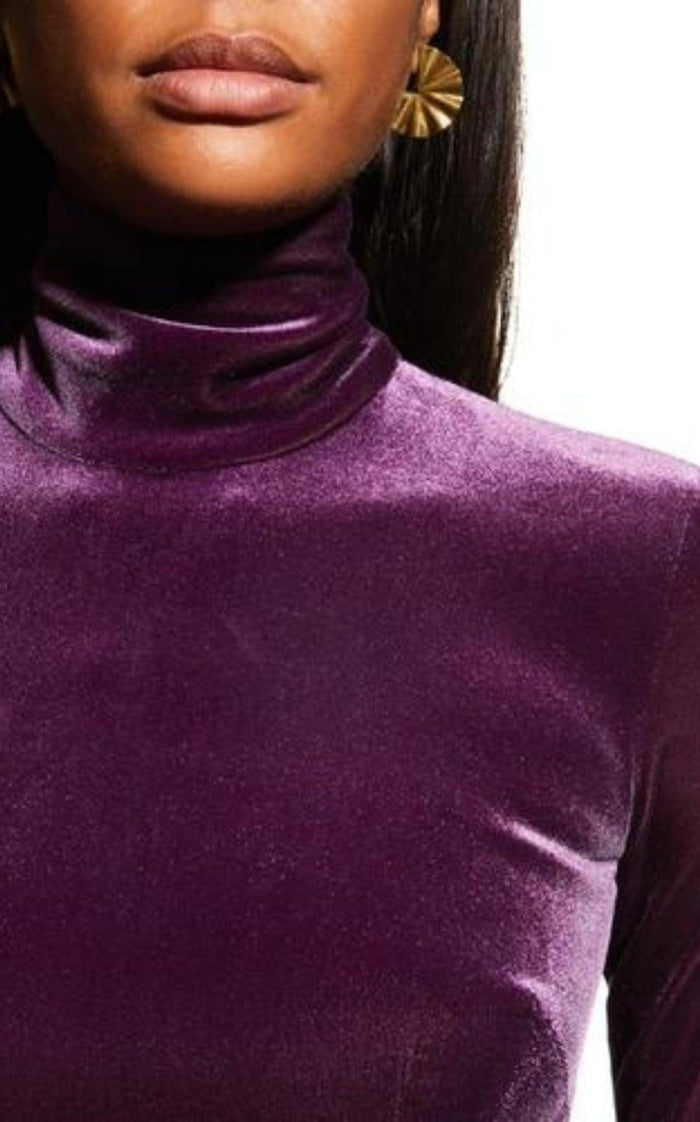 Alex Perry Tierney Velvet Column Gown - Runway Catalog