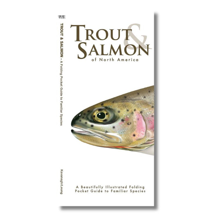 Trout & Salmon Guide (Laminated)